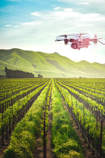 Agriculture Software